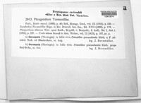 Frommeella tormentillae image